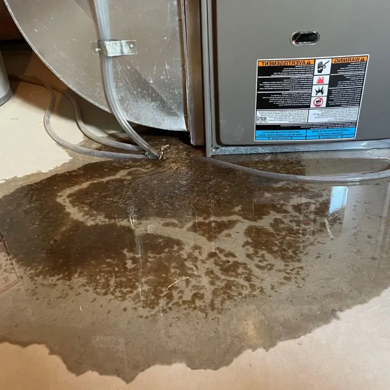 Pipe Burst and Leak Restoration in Fort Lee, NJ